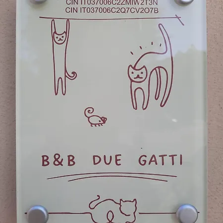 Due Gatti